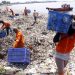 Para petugas kebersihan mmebersihkan Teluk Jakarta dari sampah. (Media Indonesia/BARY FATHAHILAH)